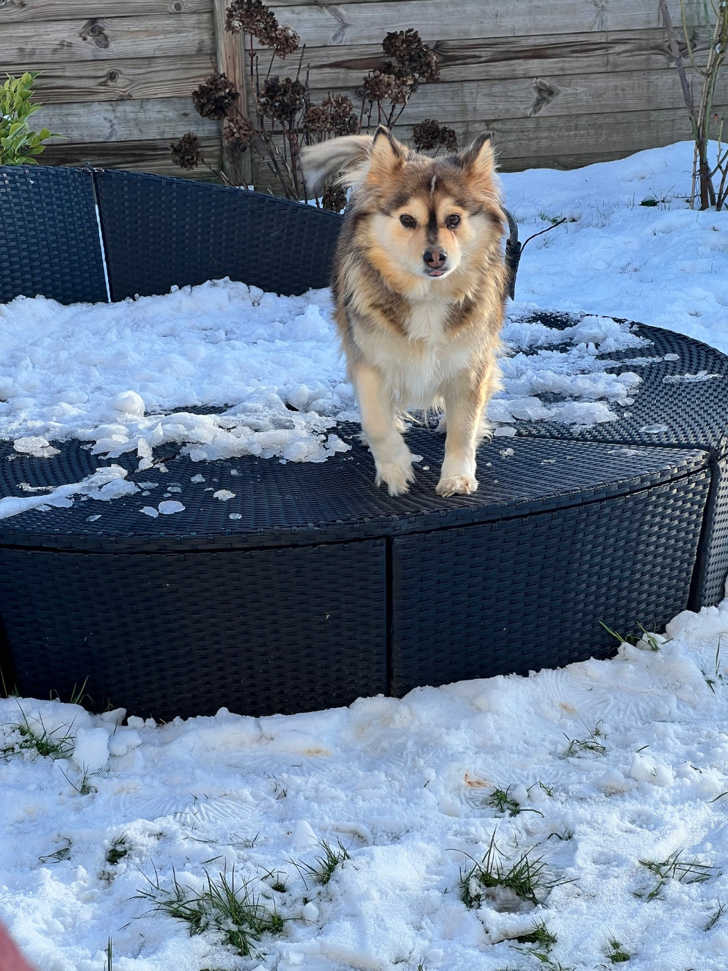 Nigt of the shadow (Sans Affixe)